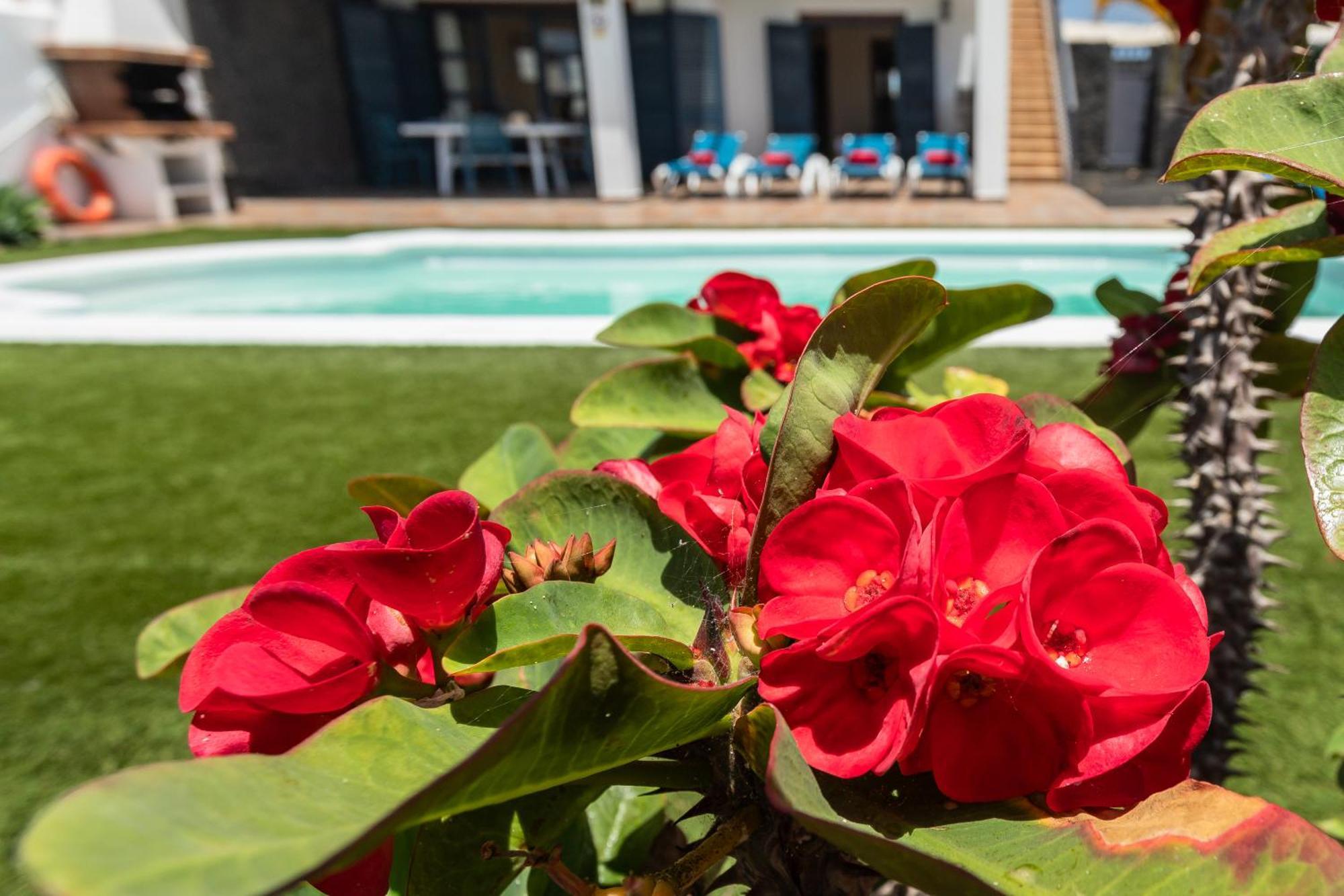 Villas Susaeta Playa Blanca (Lanzarote) Exterior foto
